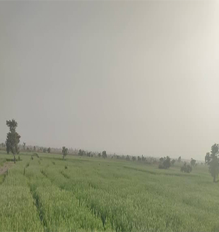 AANI Gallery 15