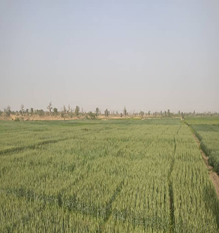 AANI Gallery 18
