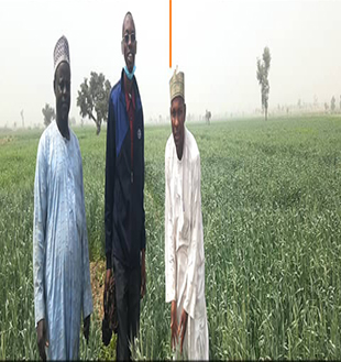 AANI Gallery 23